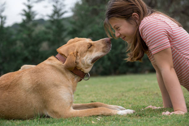 12 Best Dog Treats for Bad Breath